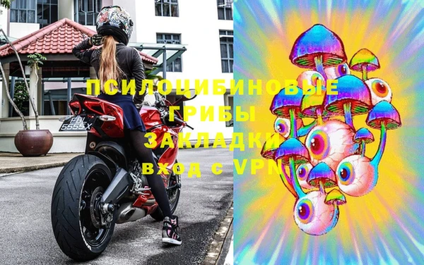 ГАЛЛЮЦИНОГЕННЫЕ ГРИБЫ Алексеевка