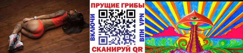 Псилоцибиновые грибы Psilocybine cubensis  хочу   Тихвин 
